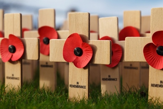 Poppies on Remembrabce Crosses